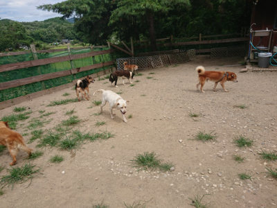 f:id:roukenhome-ann:20190806143826j:plain