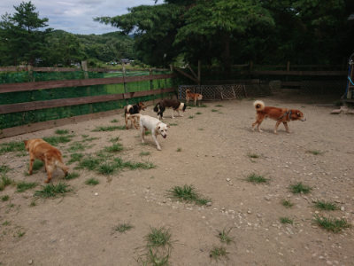 f:id:roukenhome-ann:20190806143848j:plain