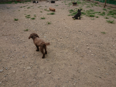 f:id:roukenhome-ann:20190806164205j:plain