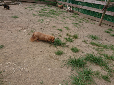 f:id:roukenhome-ann:20190806164232j:plain