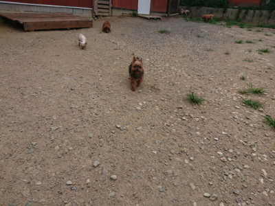 f:id:roukenhome-ann:20190806164317j:plain
