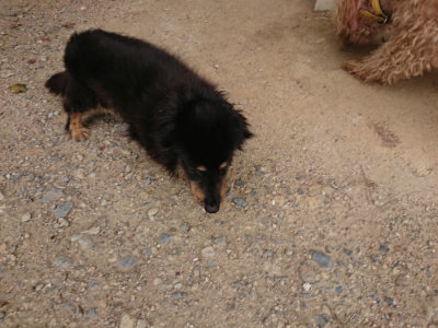 f:id:roukenhome-ann:20190806164348j:plain