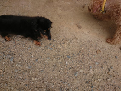 f:id:roukenhome-ann:20190806164410j:plain