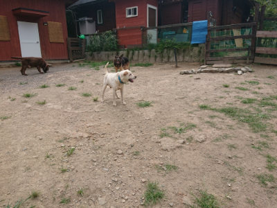 f:id:roukenhome-ann:20190806164435j:plain