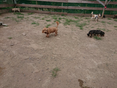 f:id:roukenhome-ann:20190806164444j:plain