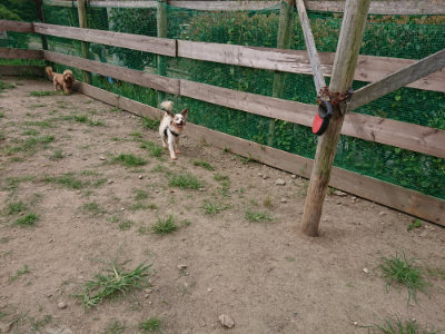 f:id:roukenhome-ann:20190806164451j:plain