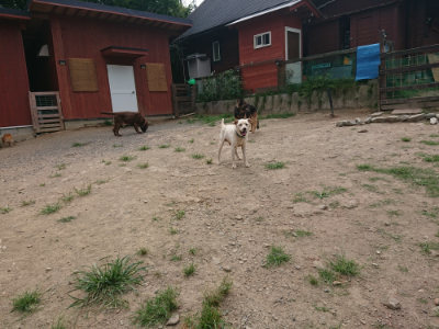 f:id:roukenhome-ann:20190806164503j:plain