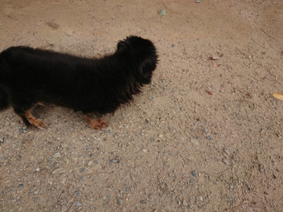 f:id:roukenhome-ann:20190806164517j:plain