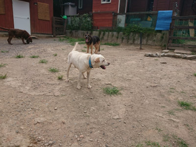 f:id:roukenhome-ann:20190806164531j:plain