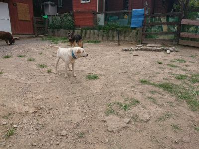 f:id:roukenhome-ann:20190806164557j:plain