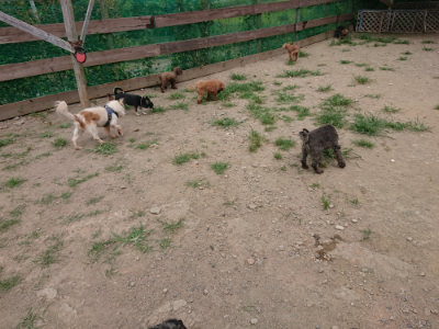 f:id:roukenhome-ann:20190806164603j:plain