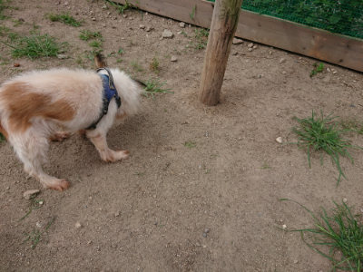 f:id:roukenhome-ann:20190806164610j:plain