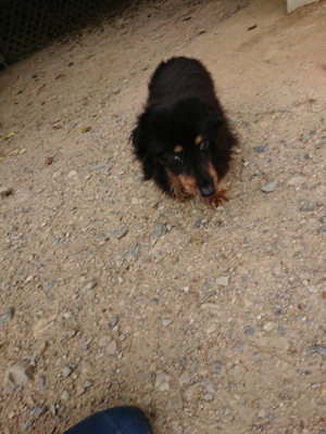 f:id:roukenhome-ann:20190806164651j:plain