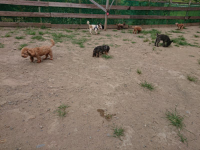 f:id:roukenhome-ann:20190806164721j:plain
