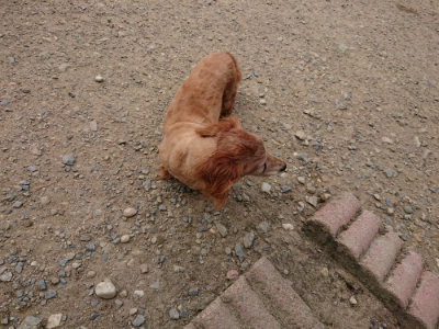 f:id:roukenhome-ann:20190806172514j:plain f:id:roukenhome-ann:20190806172514j:plain
