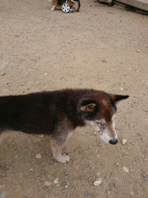 f:id:roukenhome-ann:20190806172530j:plain f:id:roukenhome-ann:20190806172530j:plain