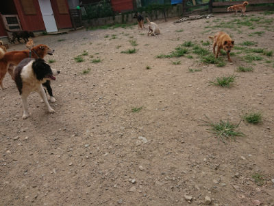 f:id:roukenhome-ann:20190806172556j:plain f:id:roukenhome-ann:20190806172556j:plain