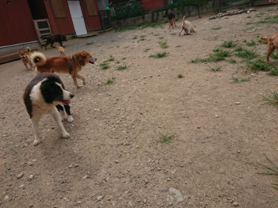 f:id:roukenhome-ann:20190806172601j:plain f:id:roukenhome-ann:20190806172601j:plain