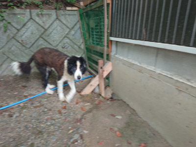 f:id:roukenhome-ann:20190806172932j:plain f:id:roukenhome-ann:20190806172932j:plain