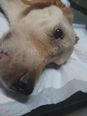 f:id:roukenhome-ann:20190806172949j:plain f:id:roukenhome-ann:20190806172949j:plain
