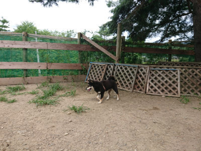 f:id:roukenhome-ann:20190806210907j:plain f:id:roukenhome-ann:20190806210907j:plain