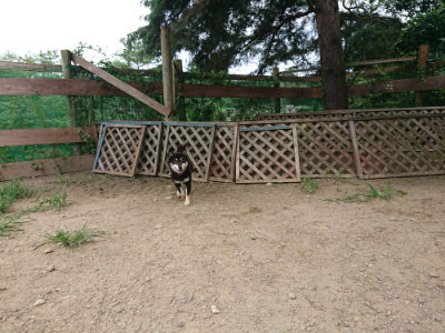 f:id:roukenhome-ann:20190806211021j:plain f:id:roukenhome-ann:20190806211021j:plain