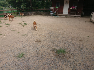 f:id:roukenhome-ann:20190806211106j:plain f:id:roukenhome-ann:20190806211106j:plain