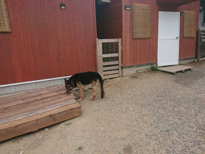 f:id:roukenhome-ann:20190806211215j:plain f:id:roukenhome-ann:20190806211215j:plain