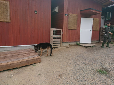 f:id:roukenhome-ann:20190806211238j:plain f:id:roukenhome-ann:20190806211238j:plain