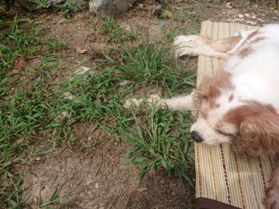 f:id:roukenhome-ann:20190806213503j:plain f:id:roukenhome-ann:20190806213503j:plain