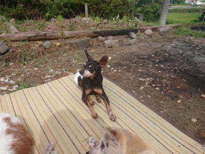 f:id:roukenhome-ann:20190806213511j:plain f:id:roukenhome-ann:20190806213511j:plain