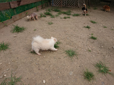 f:id:roukenhome-ann:20190806213652j:plain f:id:roukenhome-ann:20190806213652j:plain