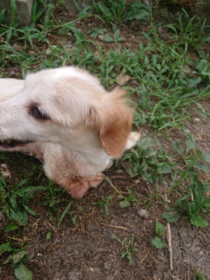 f:id:roukenhome-ann:20190806213659j:plain f:id:roukenhome-ann:20190806213659j:plain