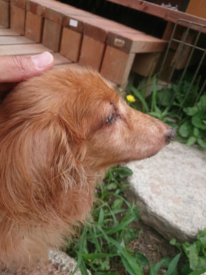 f:id:roukenhome-ann:20190806213705j:plain f:id:roukenhome-ann:20190806213705j:plain