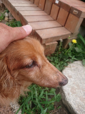 f:id:roukenhome-ann:20190806213724j:plain f:id:roukenhome-ann:20190806213724j:plain
