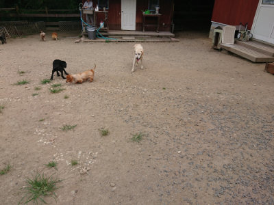 f:id:roukenhome-ann:20190806213819j:plain f:id:roukenhome-ann:20190806213819j:plain