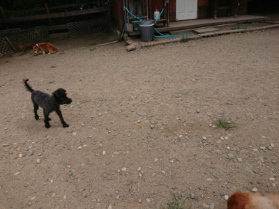 f:id:roukenhome-ann:20190806213824j:plain f:id:roukenhome-ann:20190806213824j:plain