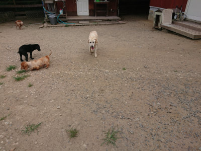 f:id:roukenhome-ann:20190806213843j:plain f:id:roukenhome-ann:20190806213843j:plain