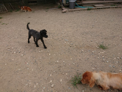 f:id:roukenhome-ann:20190806213913j:plain f:id:roukenhome-ann:20190806213913j:plain