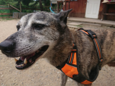 f:id:roukenhome-ann:20190806214019j:plain f:id:roukenhome-ann:20190806214019j:plain