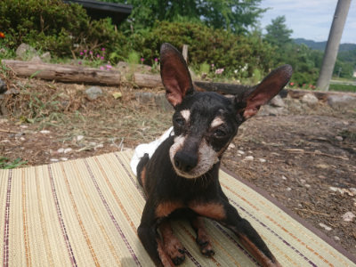 f:id:roukenhome-ann:20190806223859j:plain f:id:roukenhome-ann:20190806223859j:plain