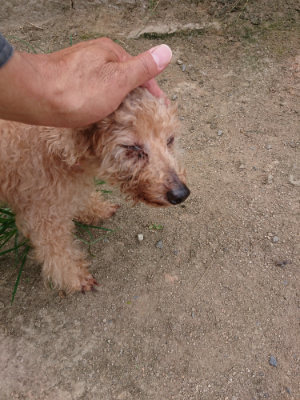 f:id:roukenhome-ann:20190806223941j:plain f:id:roukenhome-ann:20190806223941j:plain