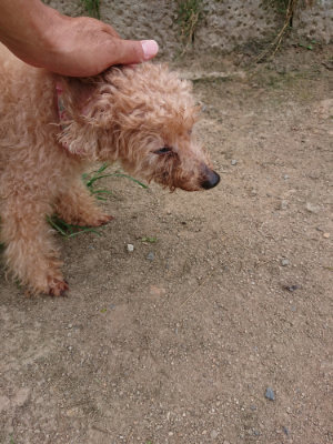 f:id:roukenhome-ann:20190806223957j:plain f:id:roukenhome-ann:20190806223957j:plain