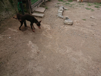 f:id:roukenhome-ann:20190806224010j:plain f:id:roukenhome-ann:20190806224010j:plain