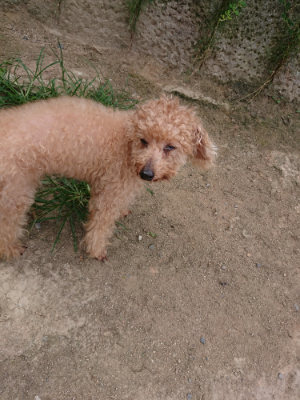 f:id:roukenhome-ann:20190806224045j:plain f:id:roukenhome-ann:20190806224045j:plain