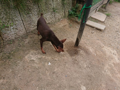 f:id:roukenhome-ann:20190806224106j:plain f:id:roukenhome-ann:20190806224106j:plain