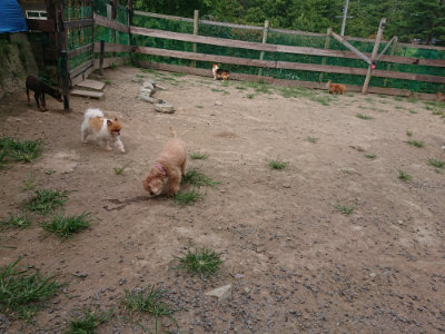 f:id:roukenhome-ann:20190806224123j:plain f:id:roukenhome-ann:20190806224123j:plain