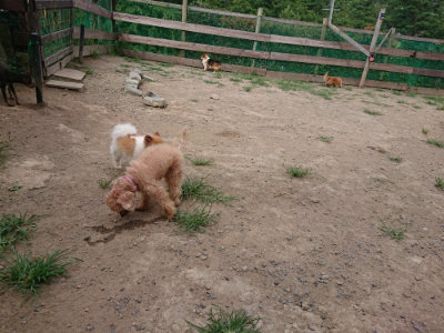 f:id:roukenhome-ann:20190806224138j:plain f:id:roukenhome-ann:20190806224138j:plain