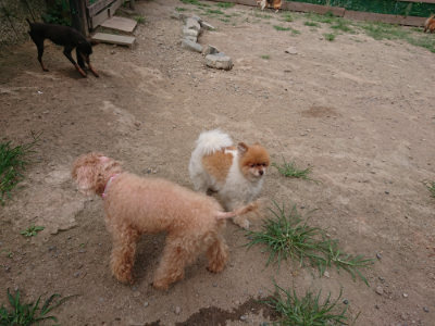 f:id:roukenhome-ann:20190806224211j:plain f:id:roukenhome-ann:20190806224211j:plain