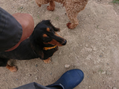 f:id:roukenhome-ann:20190806230108j:plain f:id:roukenhome-ann:20190806230108j:plain